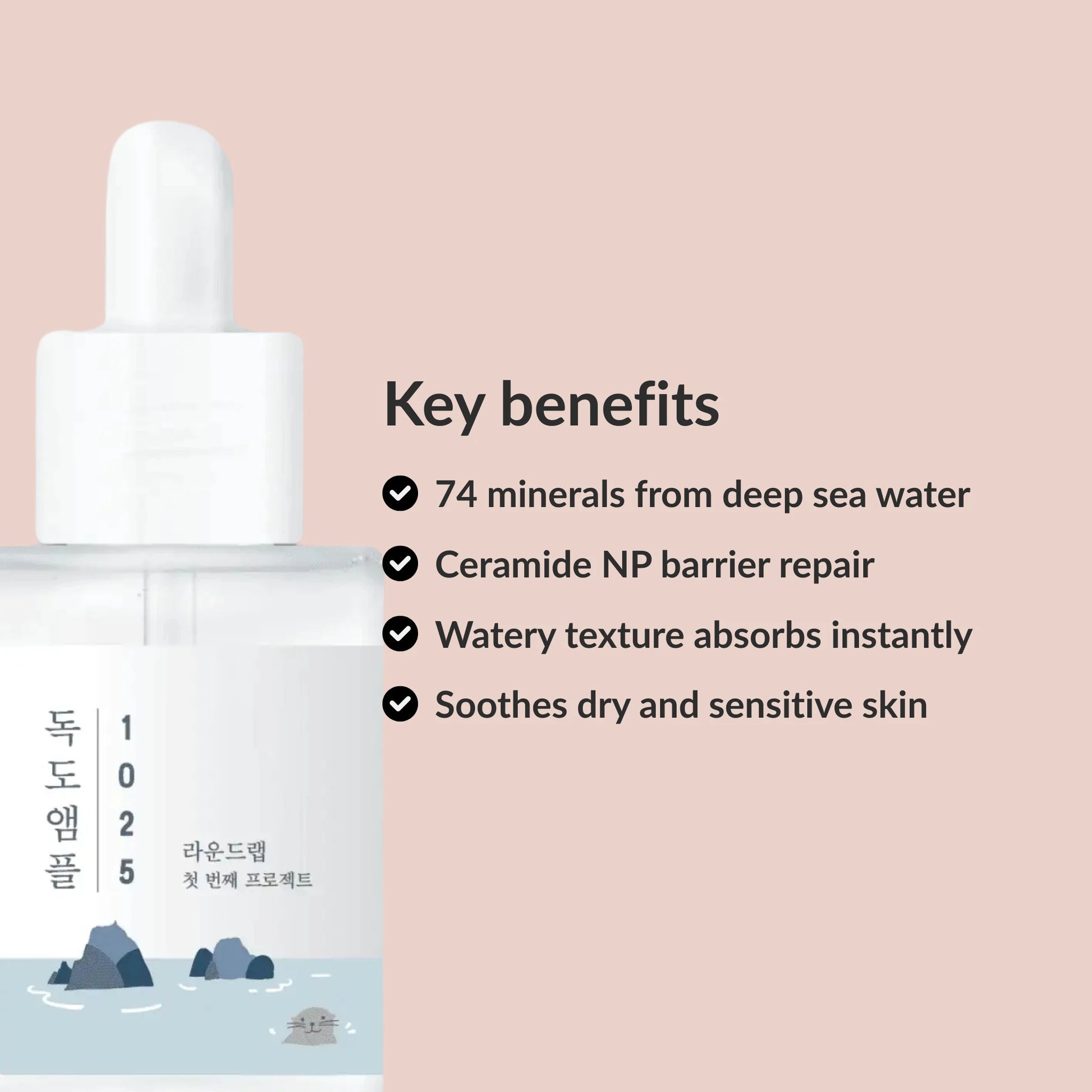 Round Lab 1025 Dokdo Ampoule