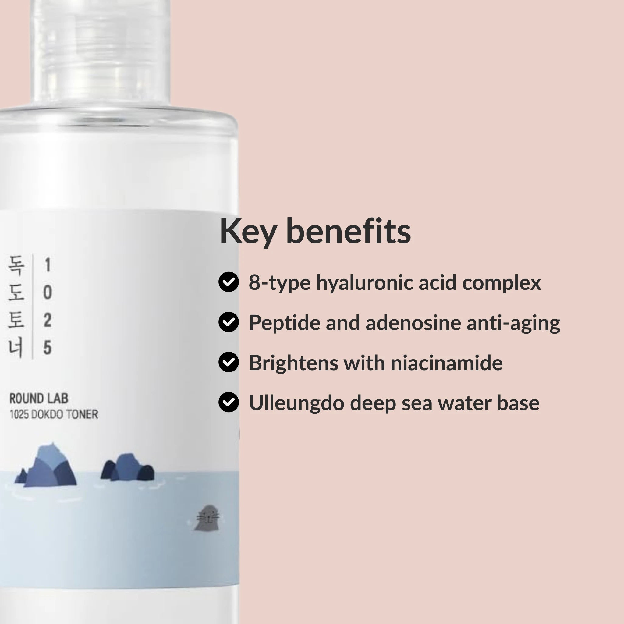 Round Lab 1025 Dokdo Toner